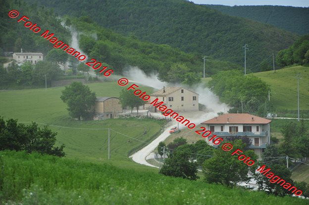 DSC_7132.JPG